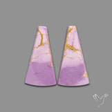 Phosphosiderites Pair