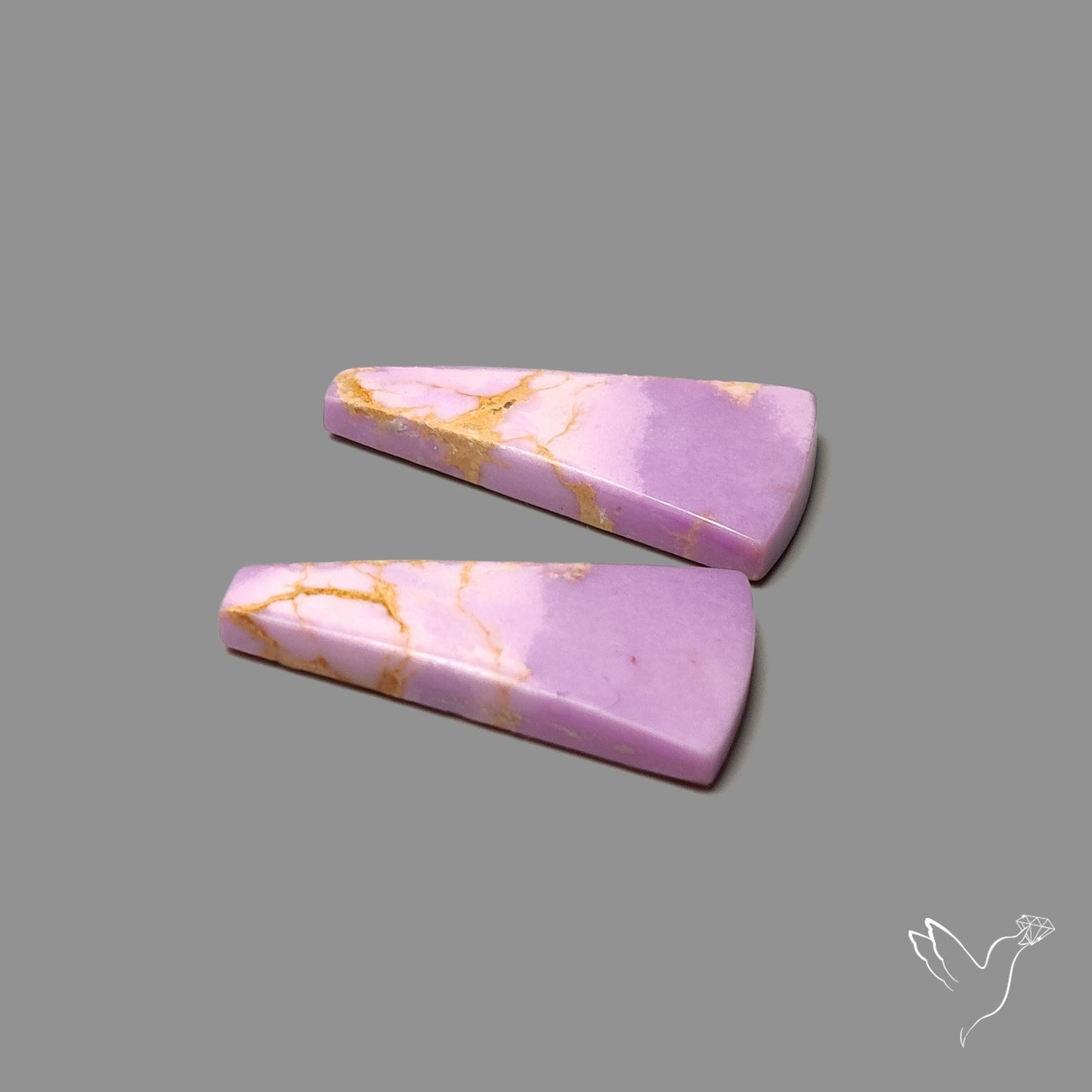 Phosphosiderites Pair
