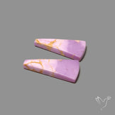 Phosphosiderites Pair