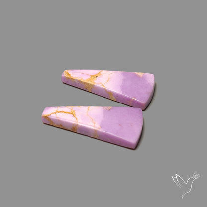 Phosphosiderites Pair