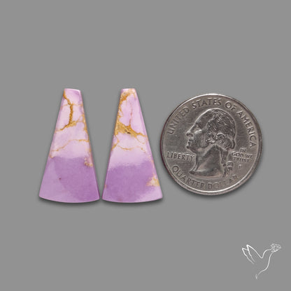 Phosphosiderites Pair