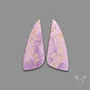 Phosphosiderites Pair