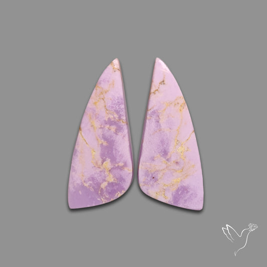 Phosphosiderites Pair