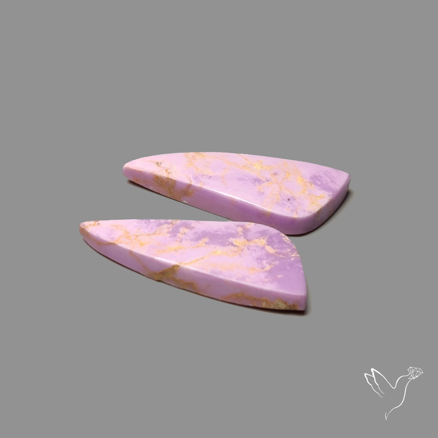 Phosphosiderites Pair
