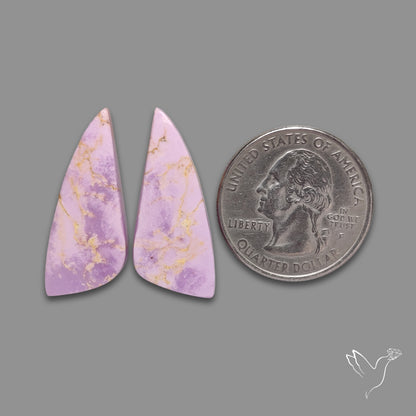 Phosphosiderites Pair