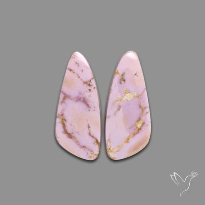 Phosphosiderites Pair