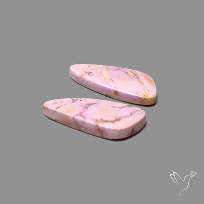 Phosphosiderites Pair