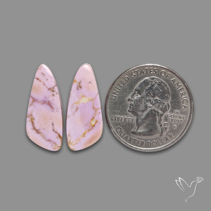 Phosphosiderites Pair