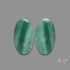 Larsonite Gemstone Pair aka Gary Green Jasper