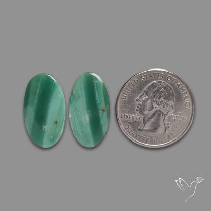 Larsonite Gemstone Pair aka Gary Green Jasper