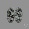 Galaxy Kambaba Jasper Pair