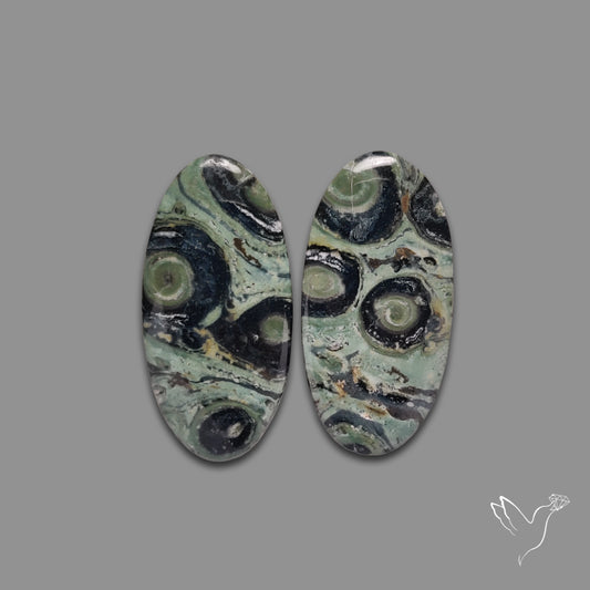 Galaxy Kambaba Jasper Pair