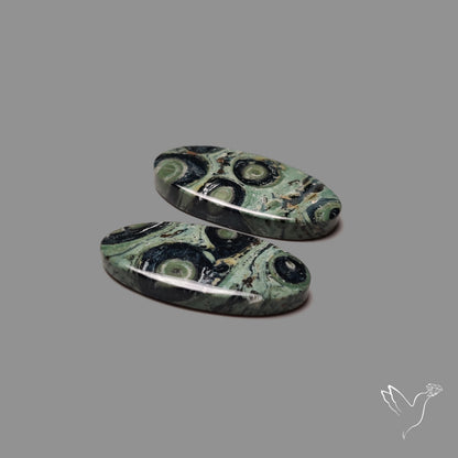 Galaxy Kambaba Jasper Pair