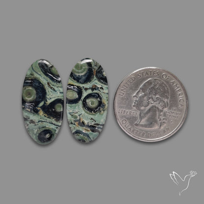 Galaxy Kambaba Jasper Pair