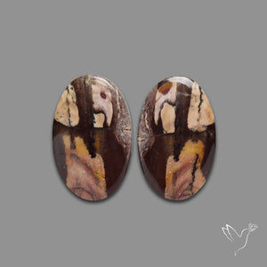 Coconut Jaspers Pair