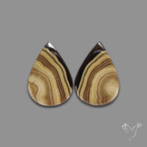 Schalenblende Pair