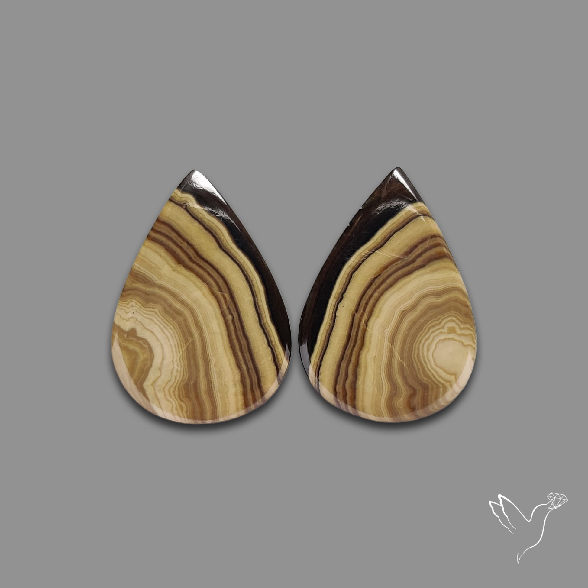 Schalenblende Pair