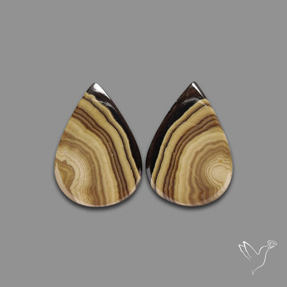 Schalenblende Pair