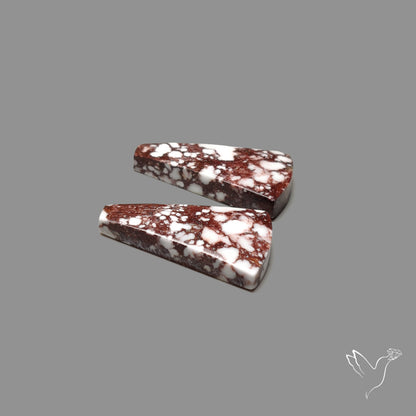 Wild Horse Jasper Pair
