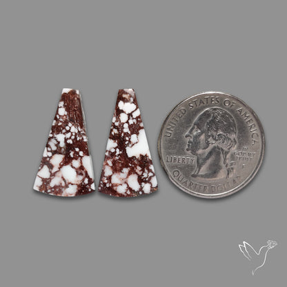 Wild Horse Jasper Pair