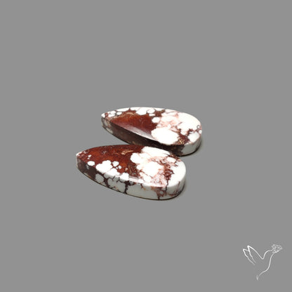 Wild Horse Jasper Pair
