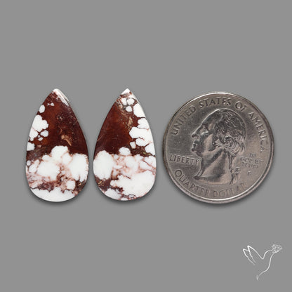 Wild Horse Jasper Pair