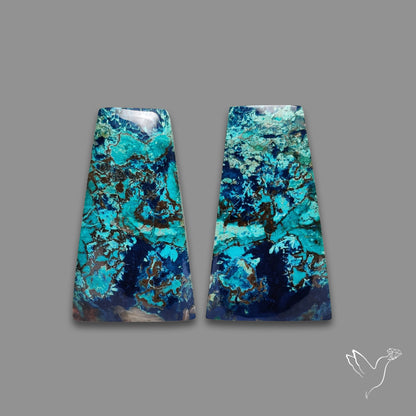 Shattuckites Pair
