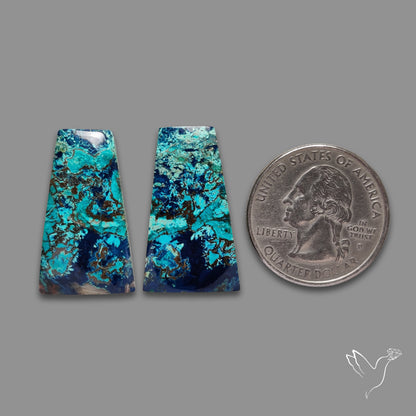 Shattuckites Pair