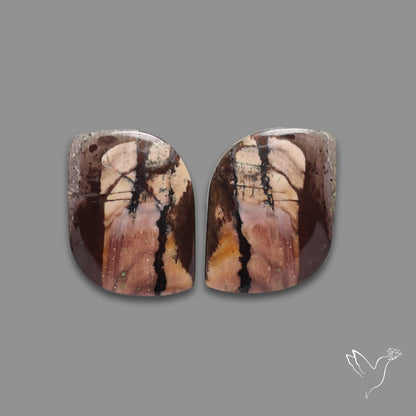 Coconut Jaspers Pair