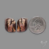 Coconut Jaspers Pair