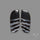 Black Banded Tuxedo Agates Pair