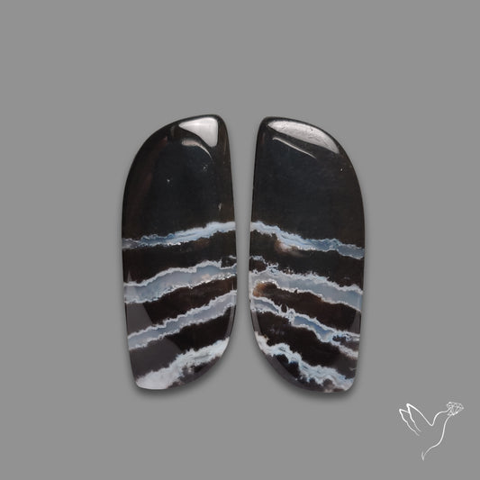 Black Banded Tuxedo Agates Pair