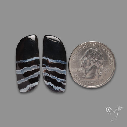 Black Banded Tuxedo Agates Pair