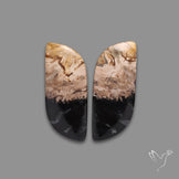 Indonesian Palmroot Pair