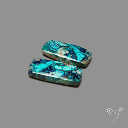 Shattuckites Pair