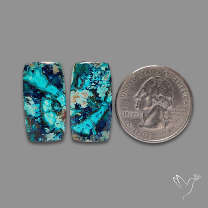 Shattuckites Pair
