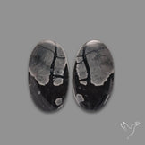 Picasso Jasper Pair