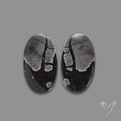 Picasso Jasper Pair