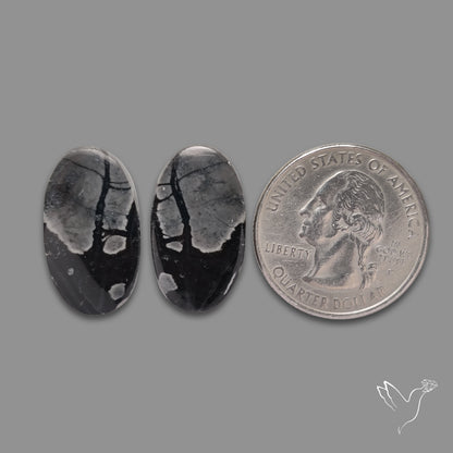 Picasso Jasper Pair