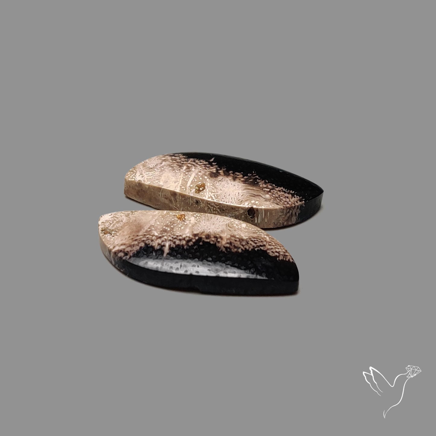 Indonesian Palmroot Pair