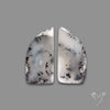 Dendritic Opals Pair