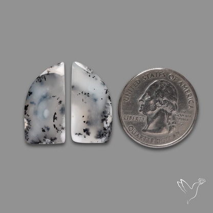 Dendritic Opals Pair