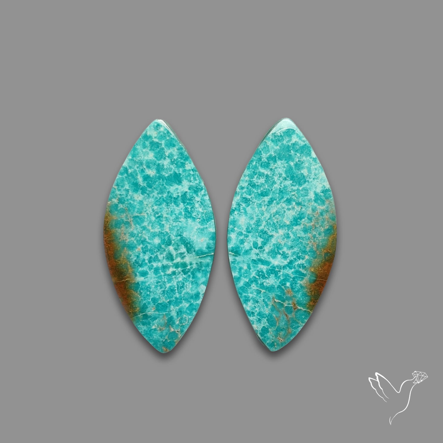 Arizona Patagonia Turquoise Pair