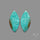 Arizona Patagonia Turquoise Pair