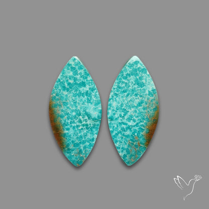 Arizona Patagonia Turquoise Pair