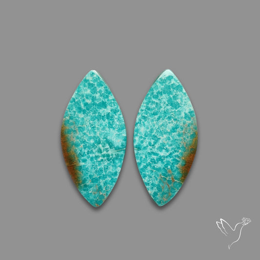 Arizona Patagonia Turquoise Pair
