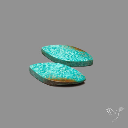Arizona Patagonia Turquoise Pair