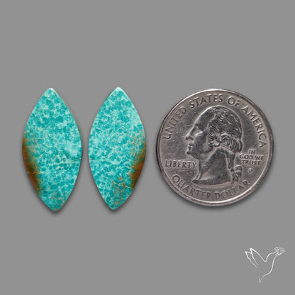 Arizona Patagonia Turquoise Pair