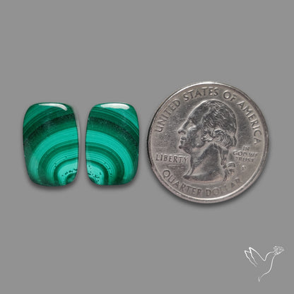 Malachite Pair