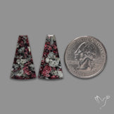 Eudialyte Pair